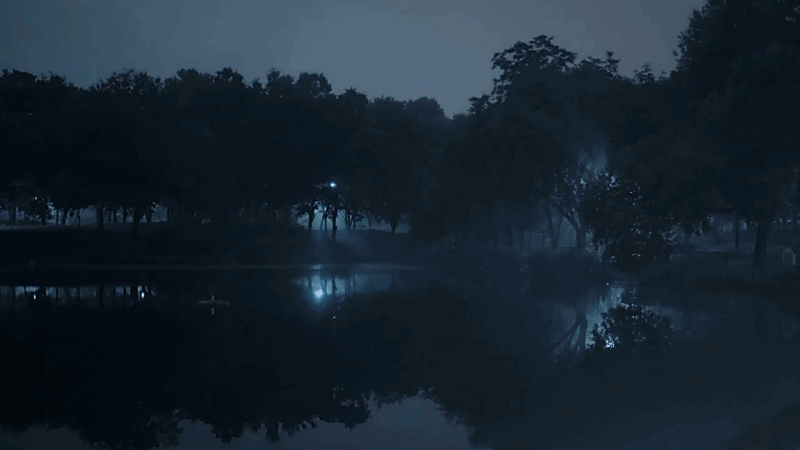 한 유튜버가 촬영하면서 정말 무서웠다는 새벽 2시 서울숲 풍경