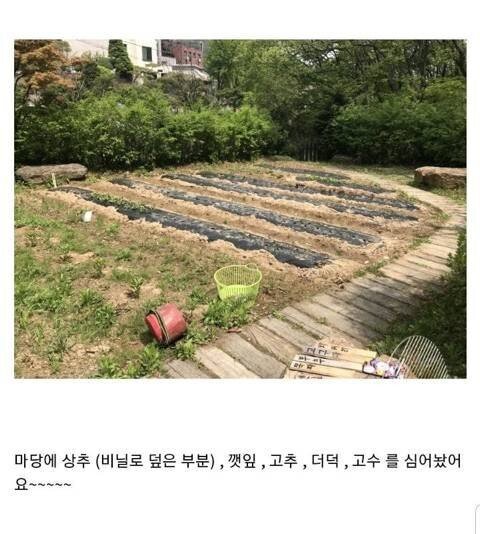  캣맘과 달리 동정받는 것