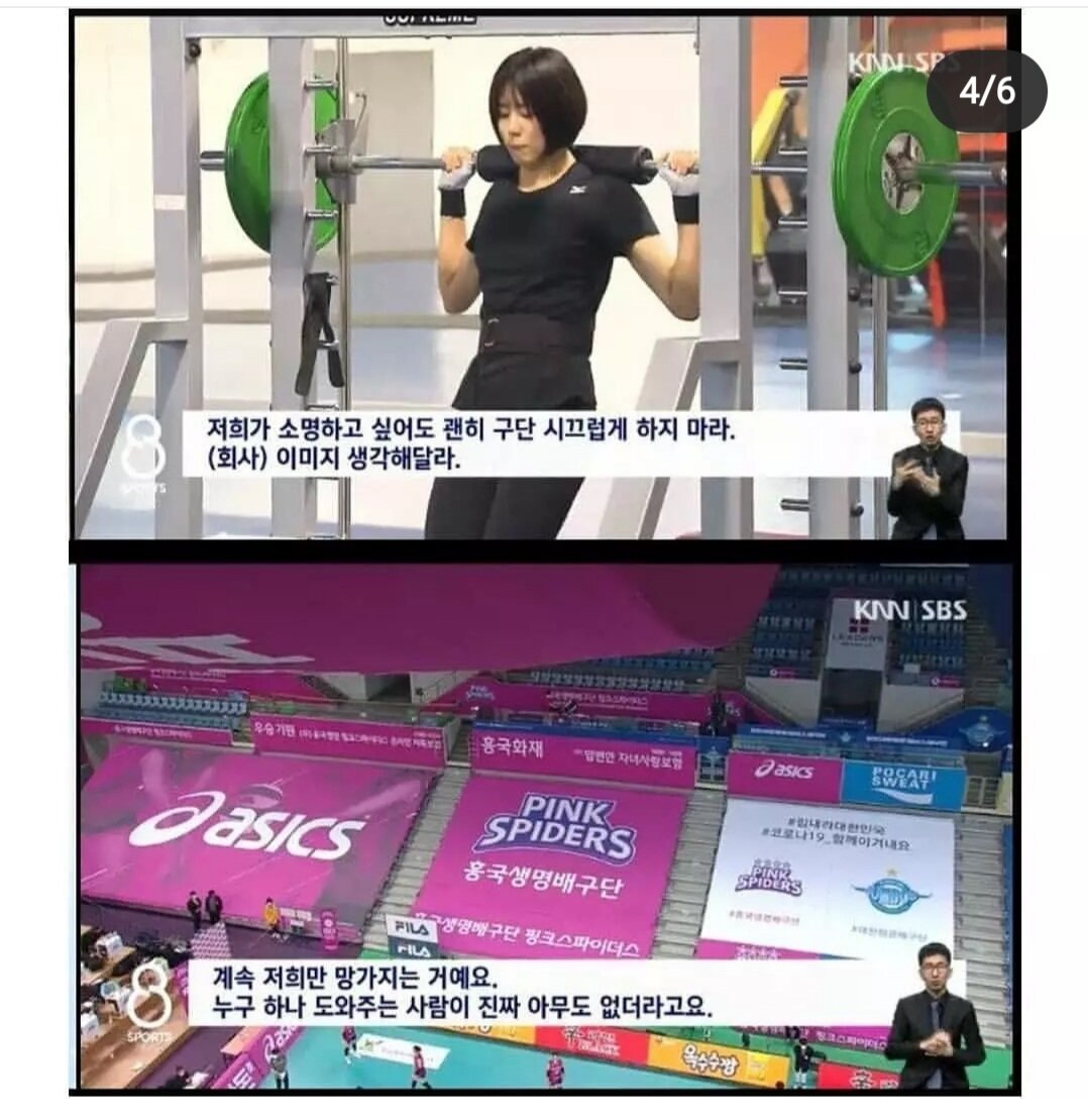 쌍둥이  우리 억울해