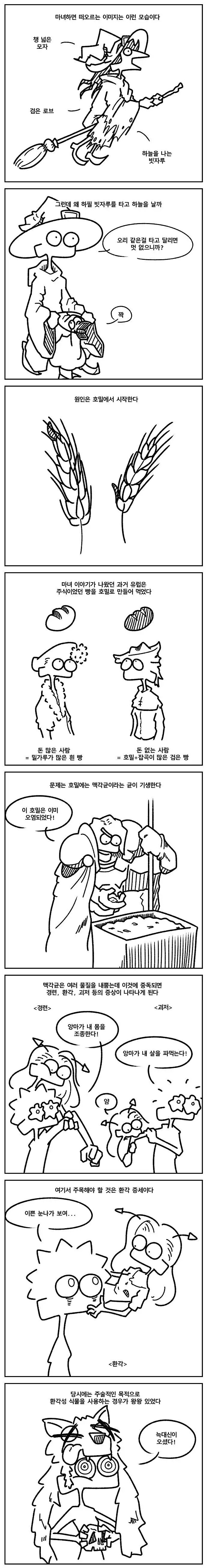 마녀와 빗자루 만화