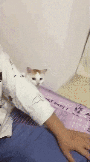 45923_10_i014728919730.gif