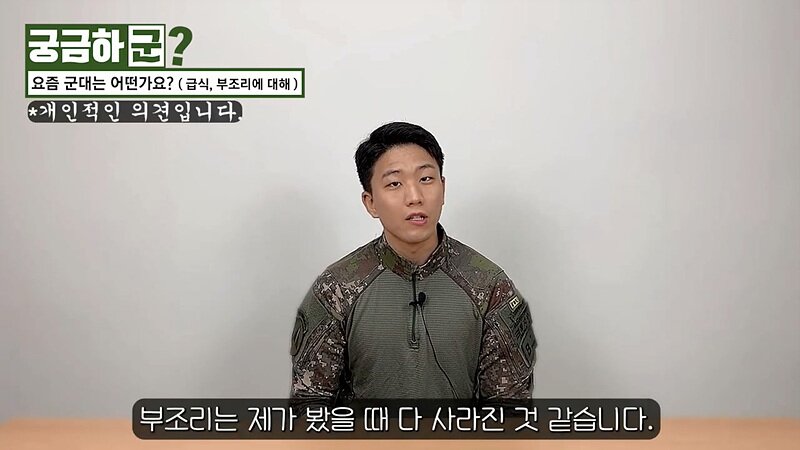 역대급 싫어요 비율 갱신한 국방TV 영상 근황