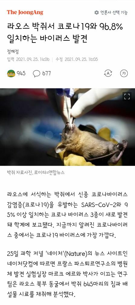 프랑스 연구팀이 연구한 코로나 박쥐
