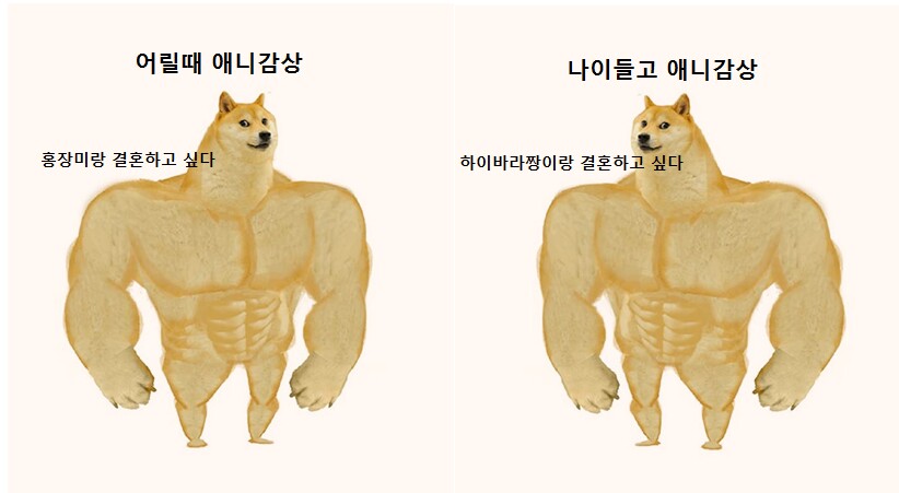 어릴때 애니감상 vs 나이먹고 애니감상