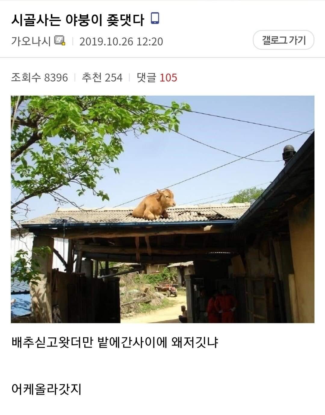 큰일 난 야붕이