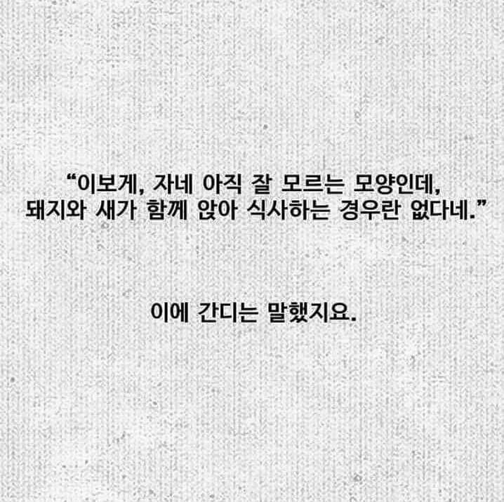 딜교왕 간디