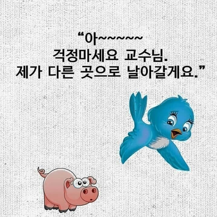 딜교왕 간디