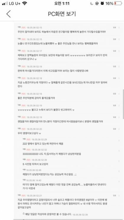 여시사태 자작글중 가장 심각한 글