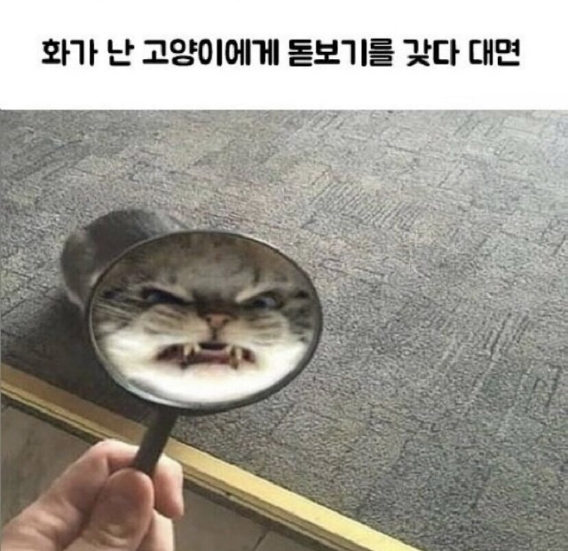 수간호사 좋지