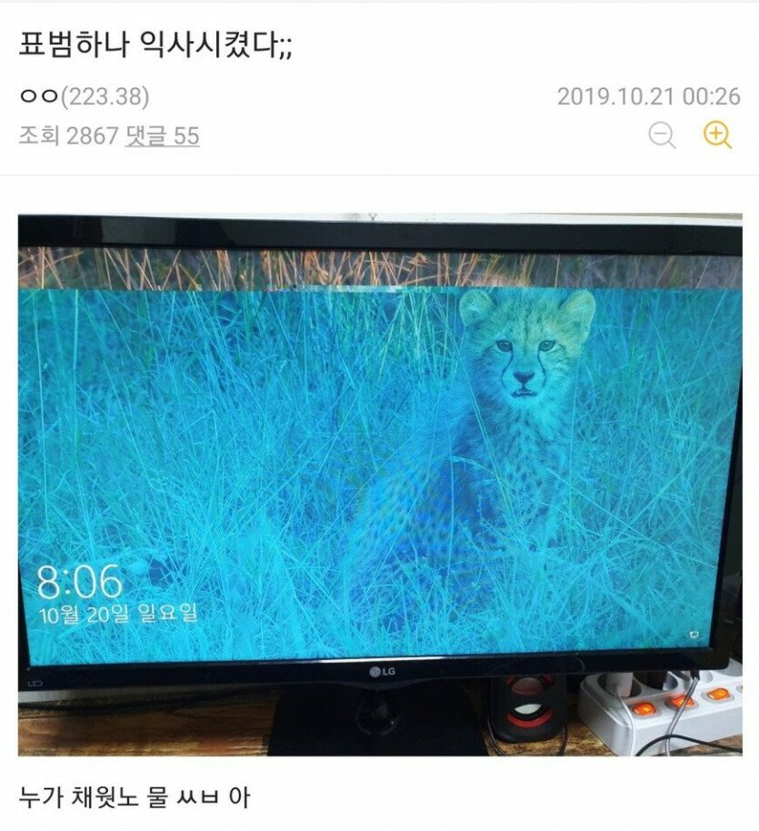 싱글벙글 우당탕탕 PC갤러리