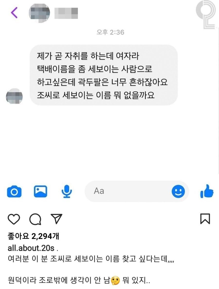 곧 자취하는 여자