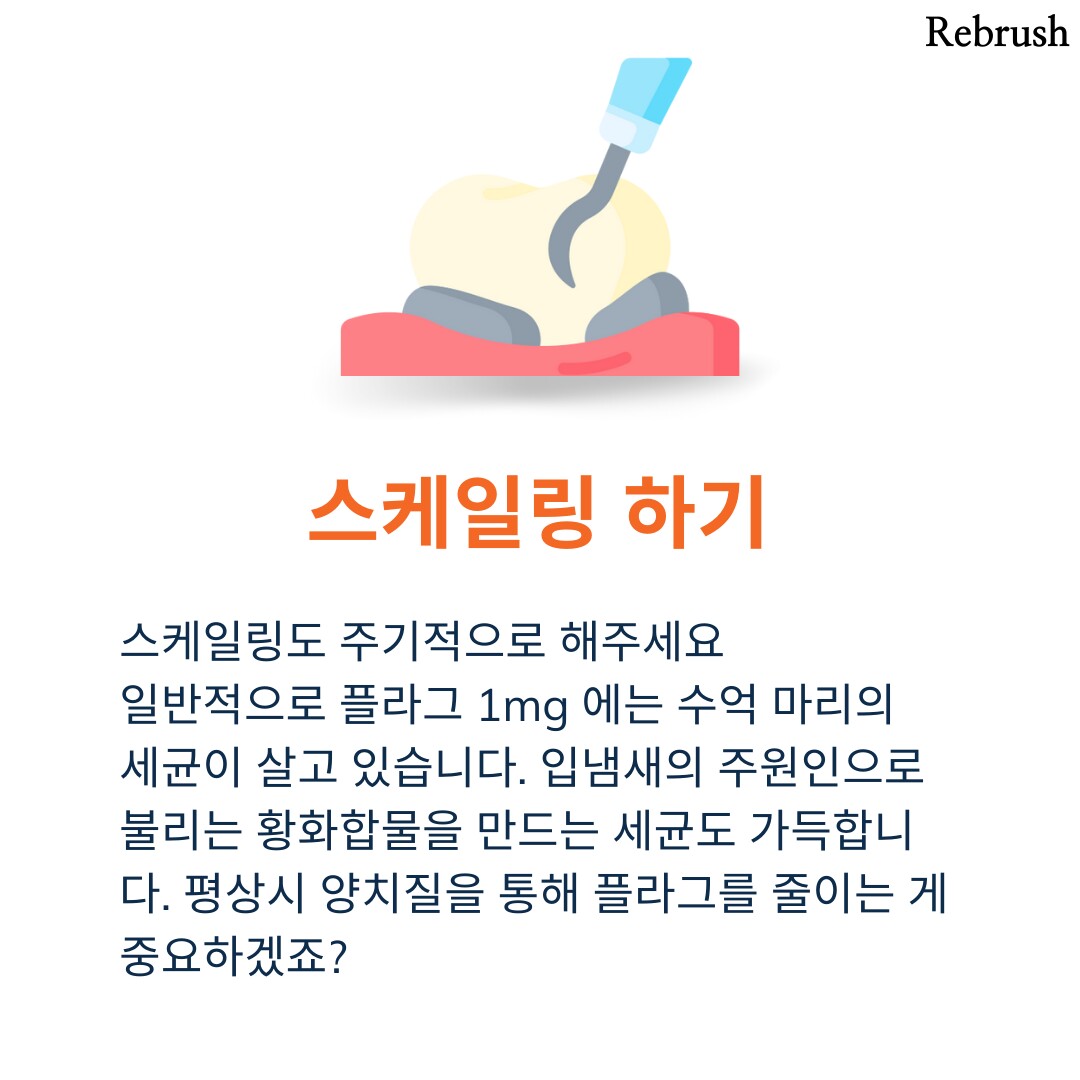 치과의사들이 말하는 입냄새 제거법 20개 - 1탄