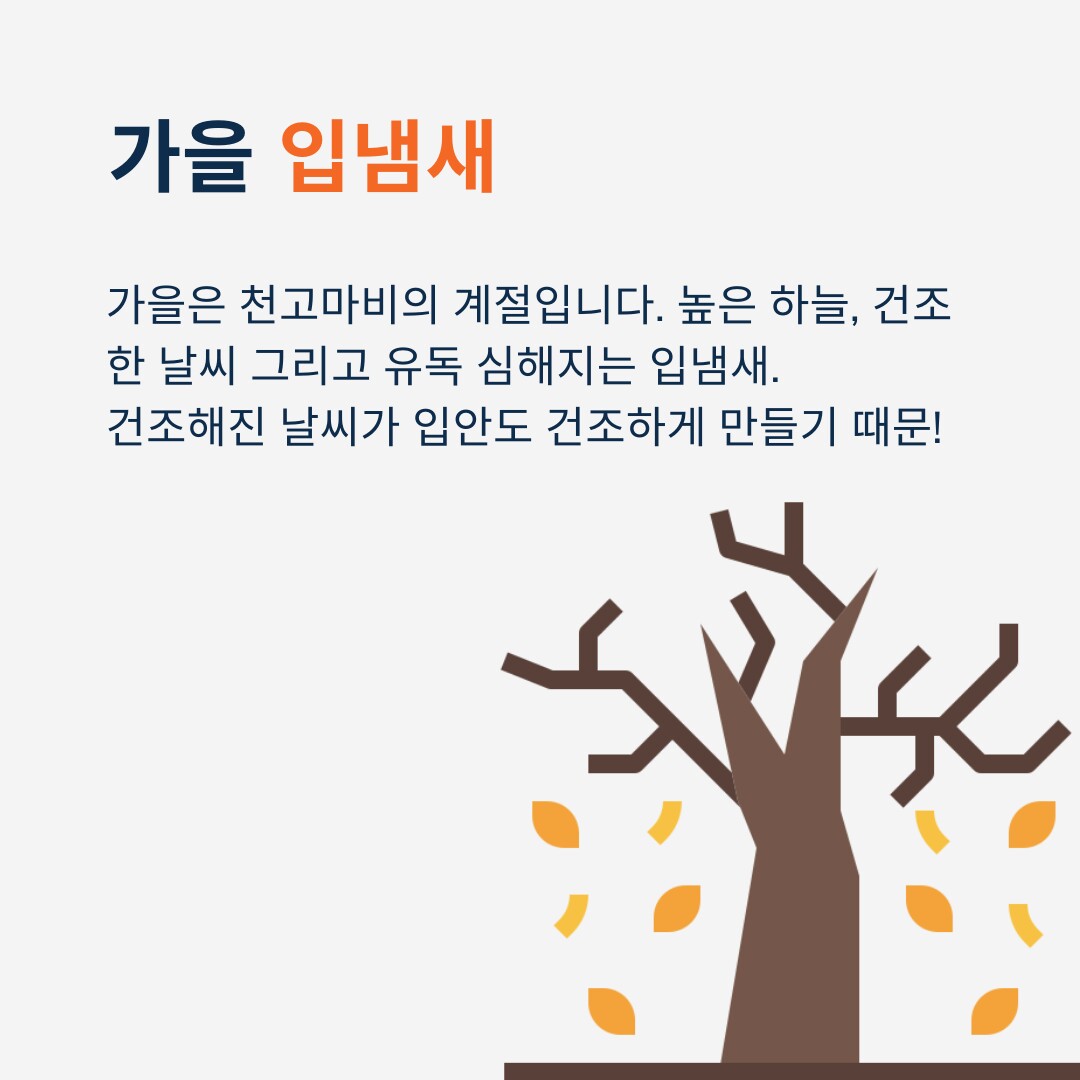 치과의사들이 말하는 입냄새 제거법 20개 - 1탄