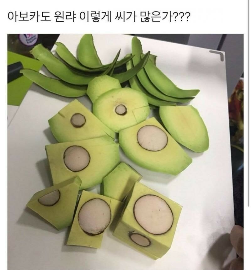 아보카도 원래 씨가 이렇게 많나요?