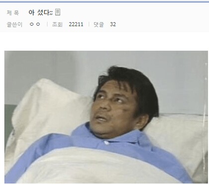 다시보는 허언갤 레전드