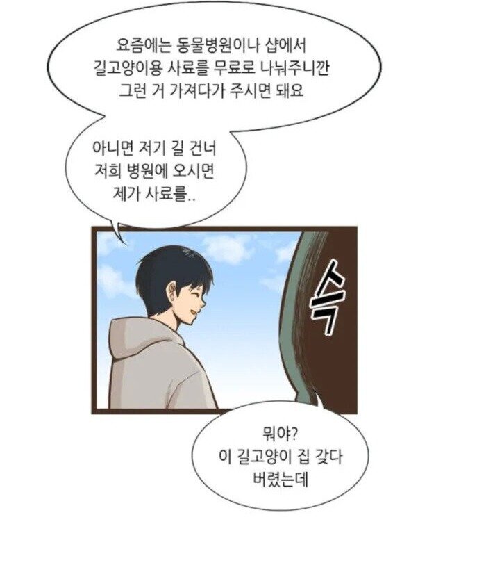 길고양이를 보는 시점에 대한 만화