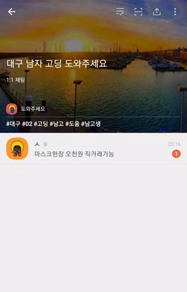 극한의 가능충 모음