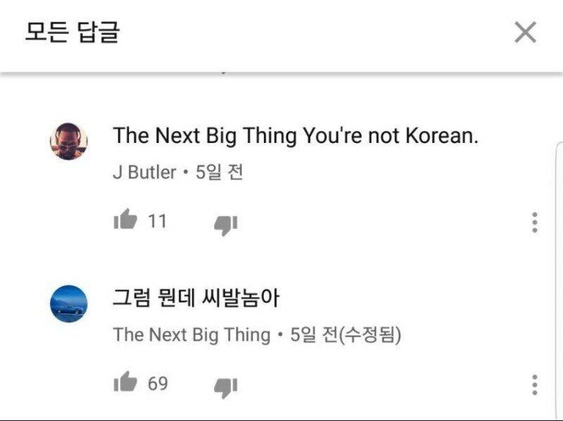youre not korean