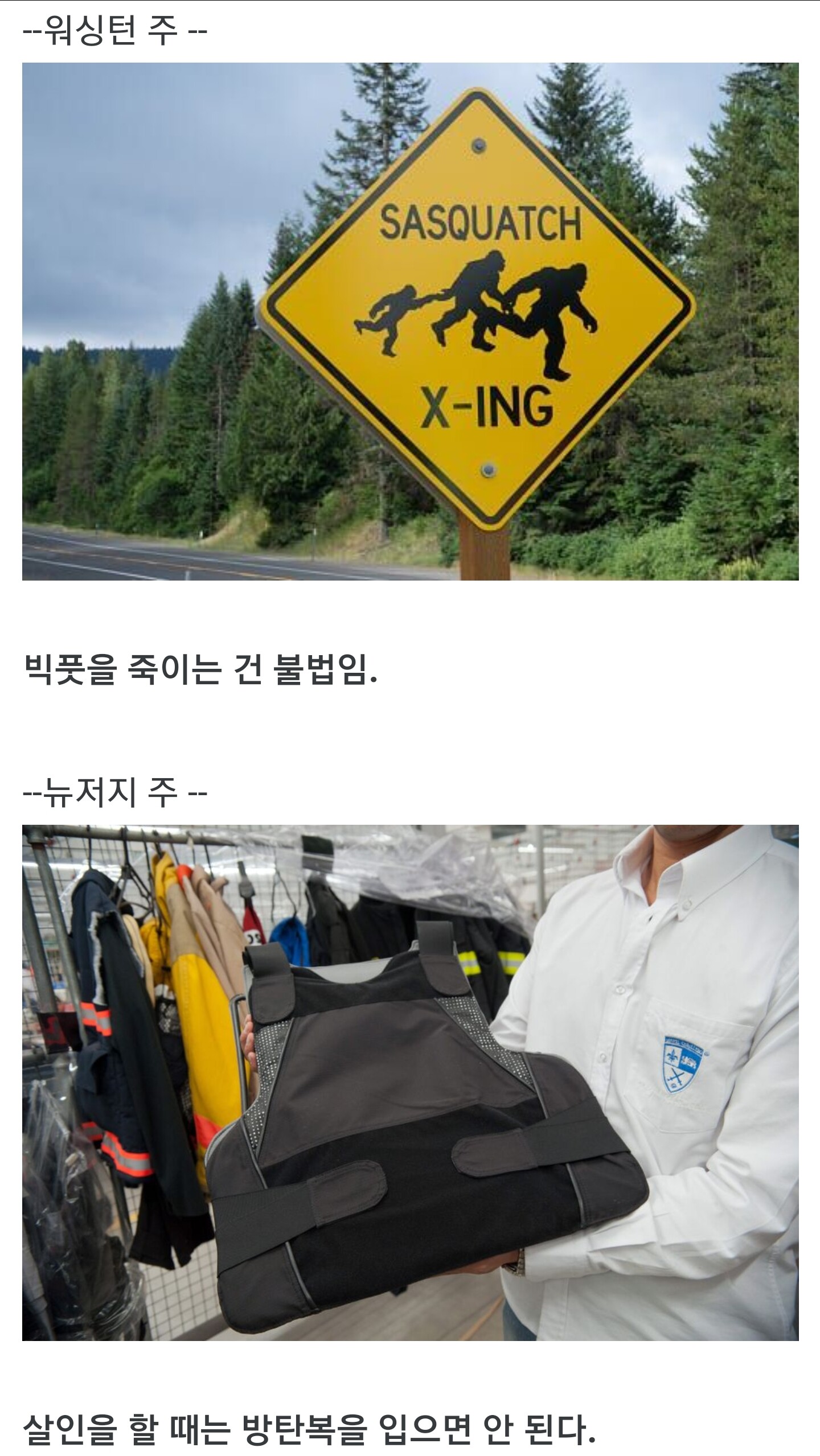 왜 있는지 모를 미국의 법률