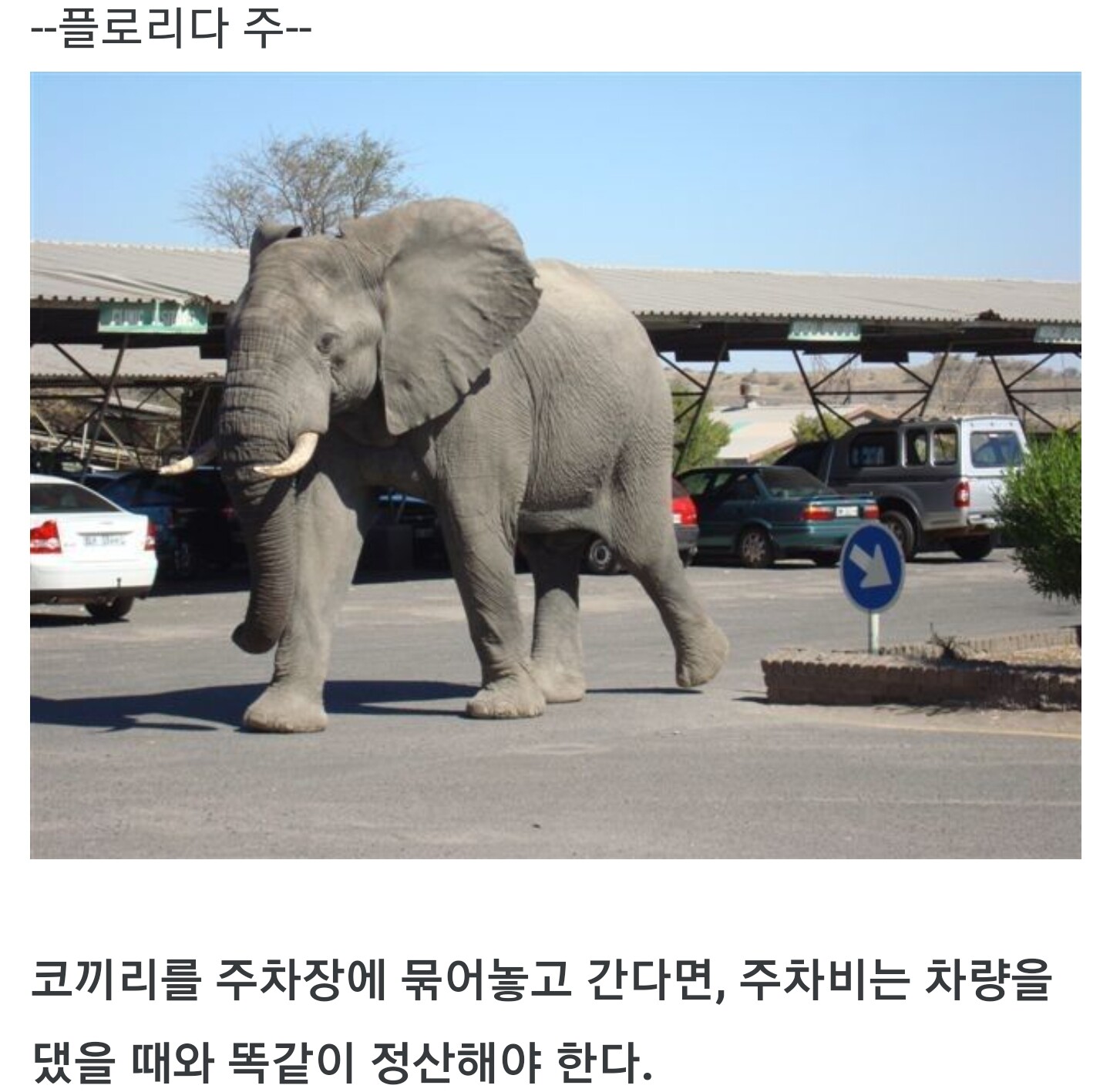 왜 있는지 모를 미국의 법률