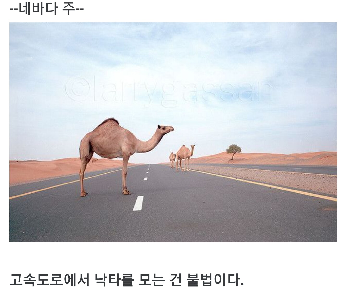 왜 있는지 모를 미국의 법률