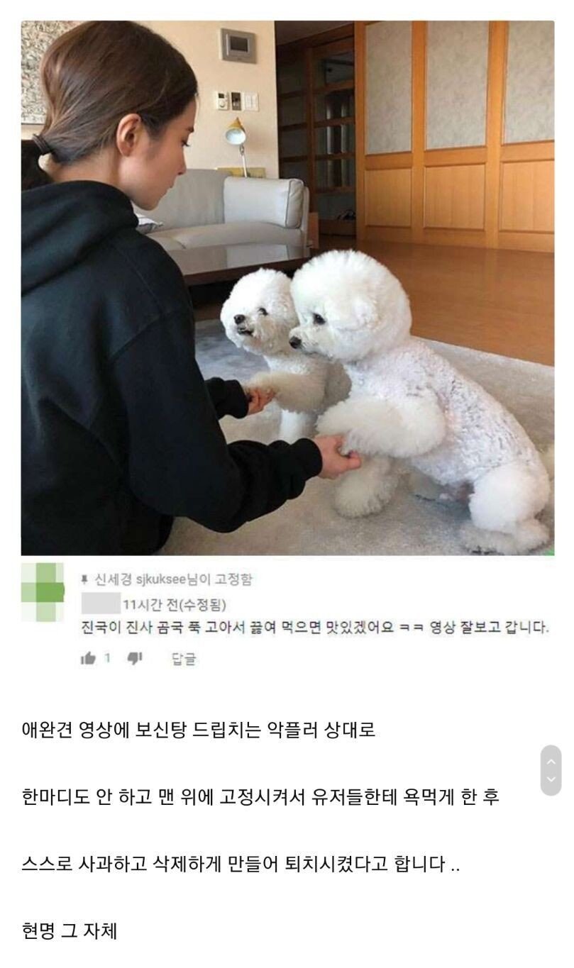 신세경 악플 대처법