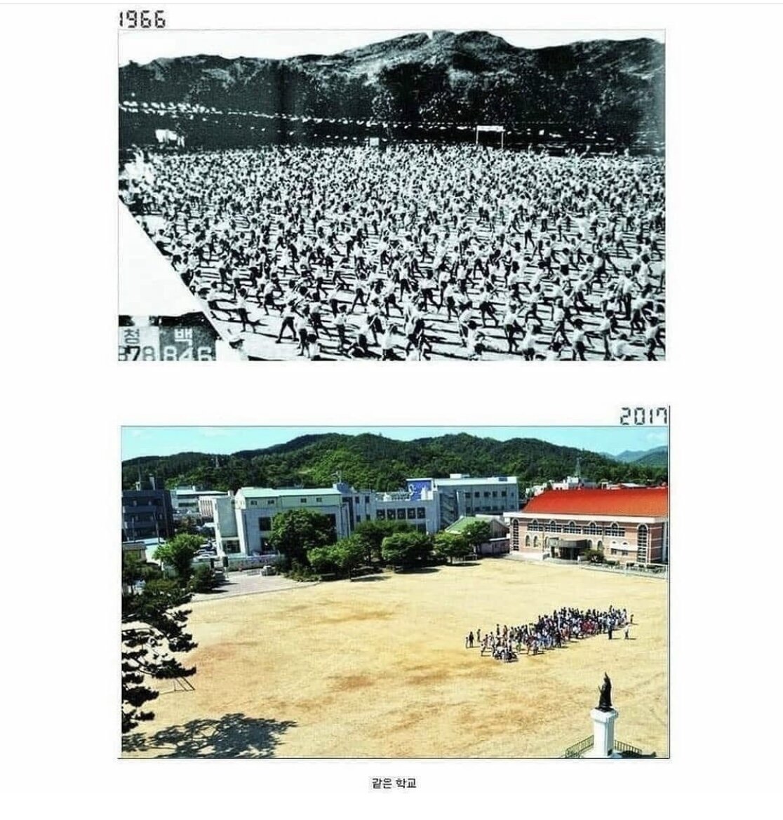 1966년도 출산율  지금 출산율 비교 샷