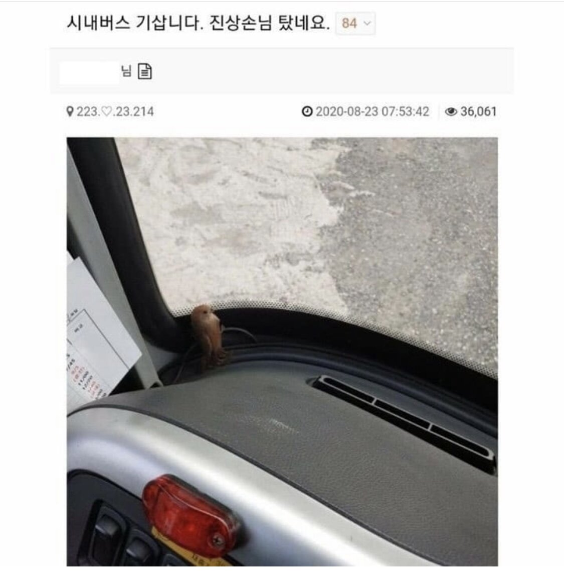 시내버스에 진상 손님이 탔어요