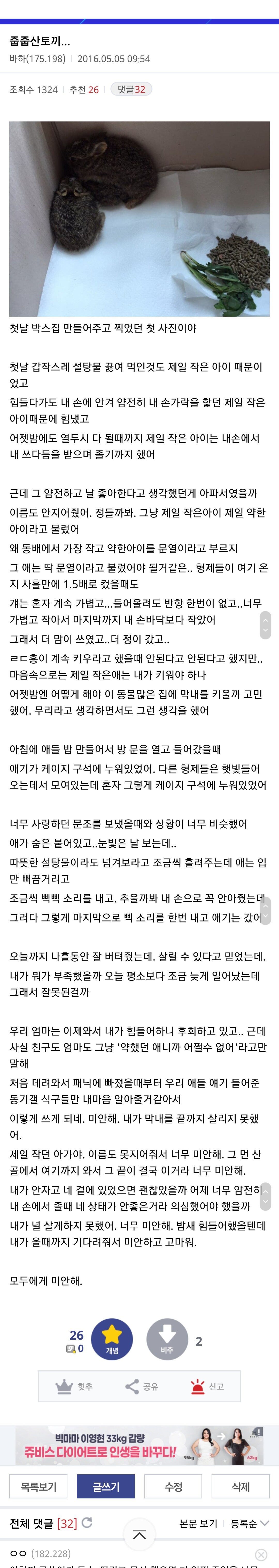 산에서 토끼를 발견한 디시인