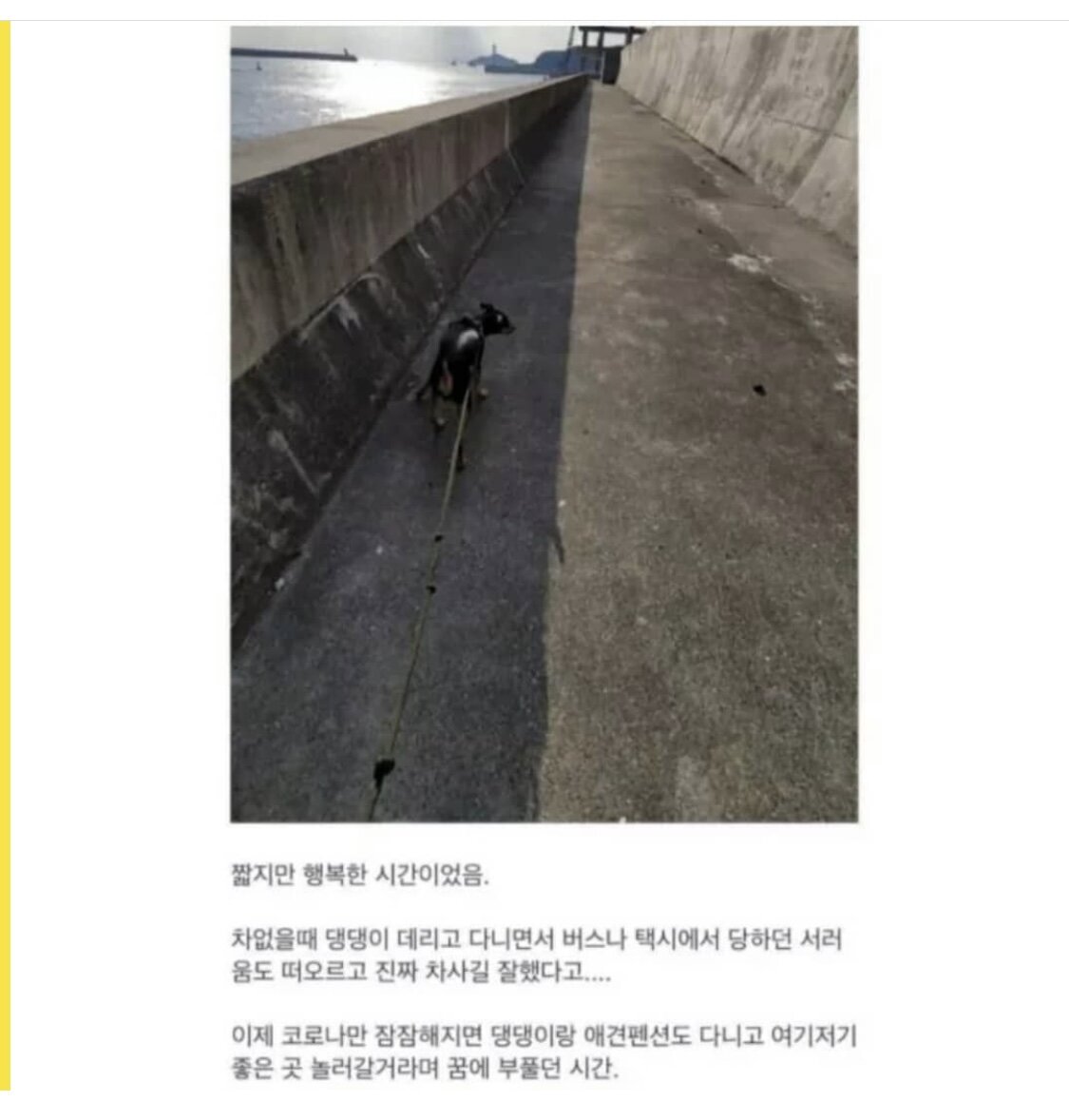 면허 딴지 2개월만에 벌어진 일