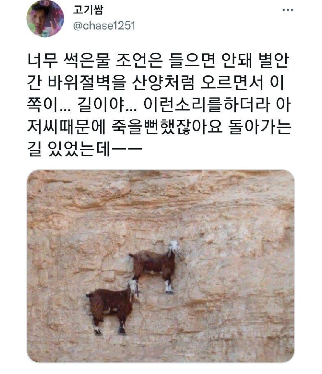 뉴비에 정신 못 차리는 등산 고인물들.jpg