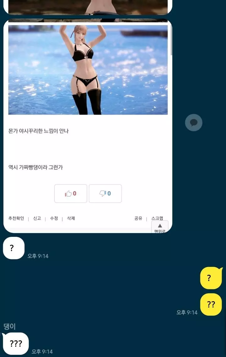 역수입) 로아 하는거 남친한테 걸려서 ㅈ된 인벤러