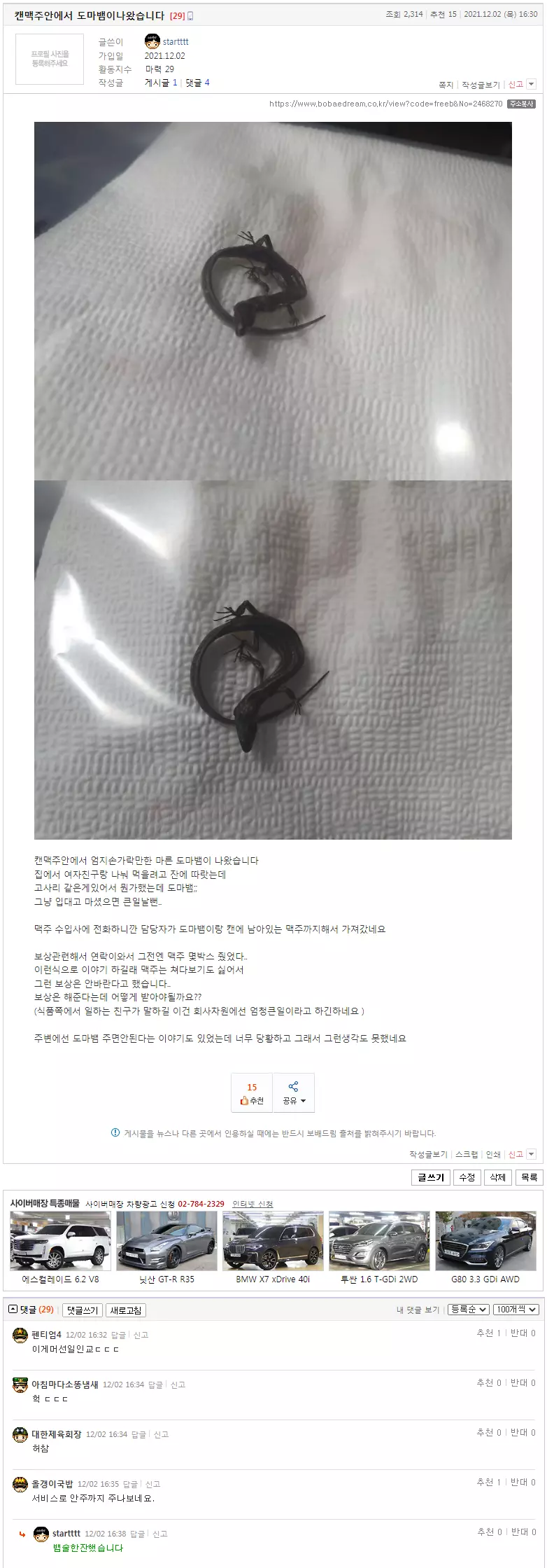 캔맥주에서 도마뱀이 나왔습니다