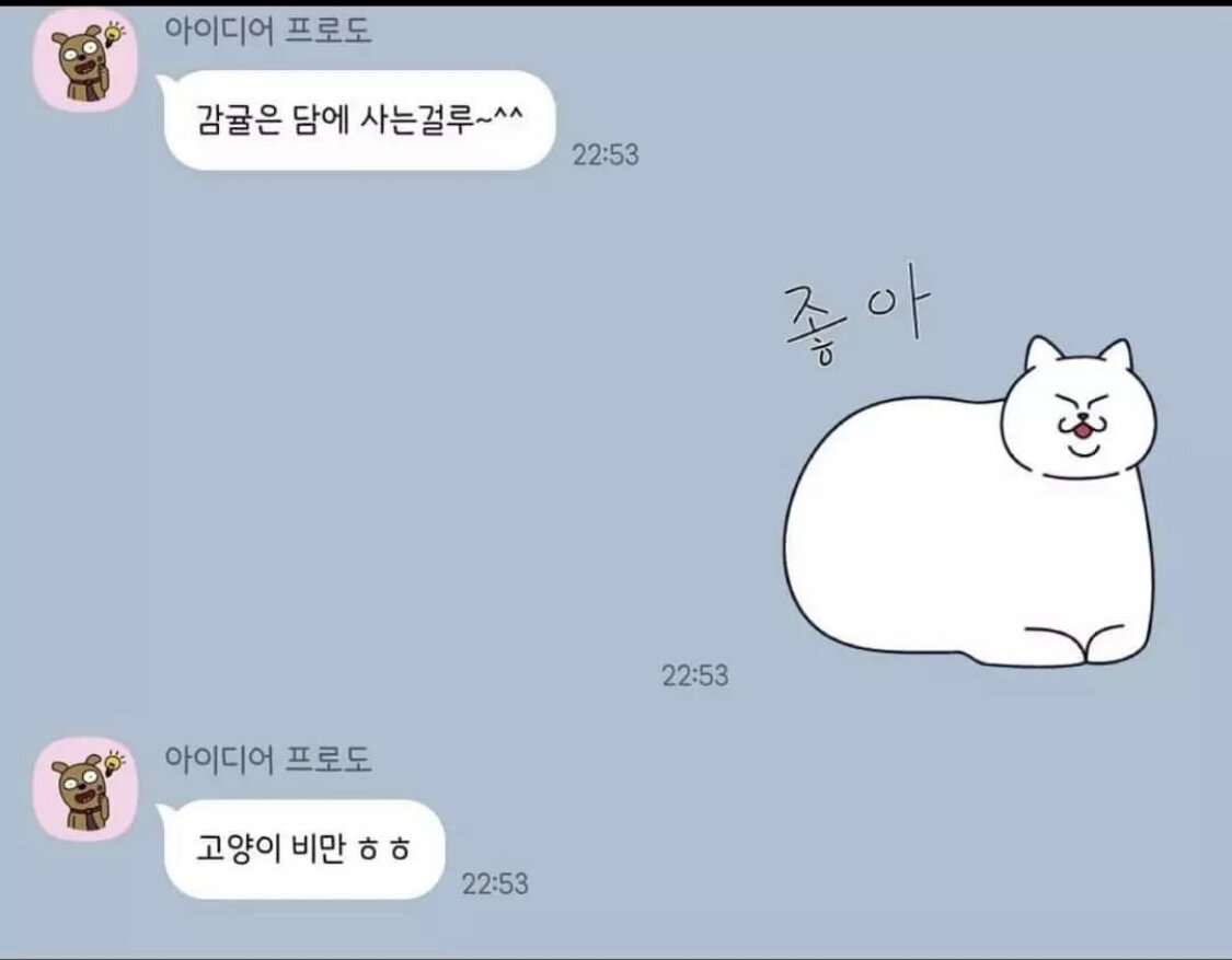 부모님 카톡 국룰