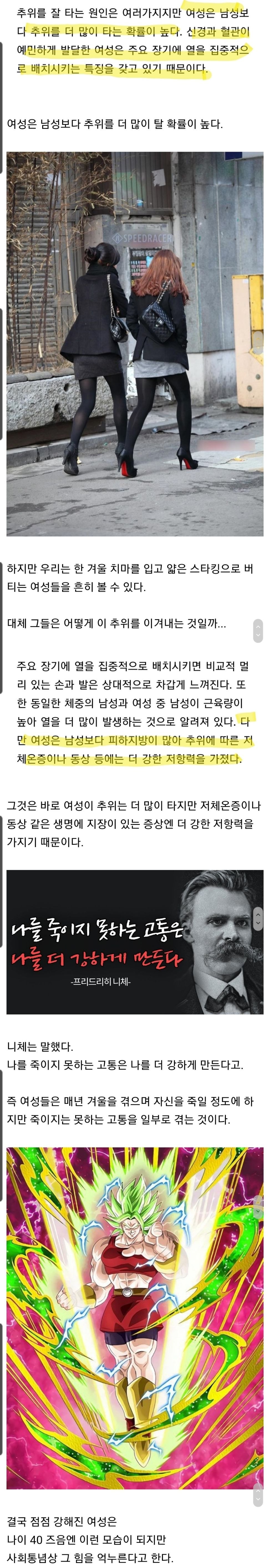 여자들이 겨울에도 치마를 입을수 있는 이유