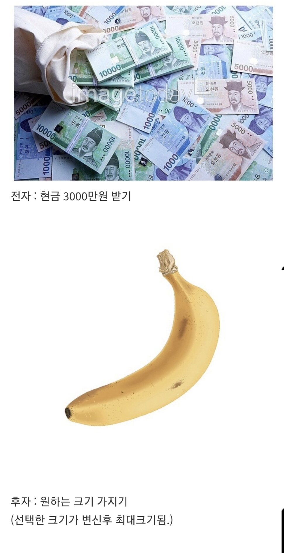 3000만원 받기 vs 원하는 쥬지 크기 가지기.