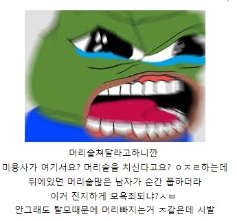 미용실에서 수치플 당한 사람