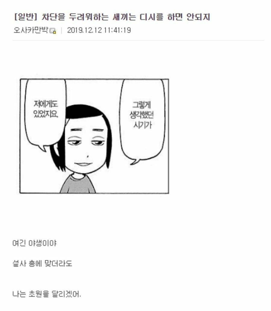 디시 차단 레전드