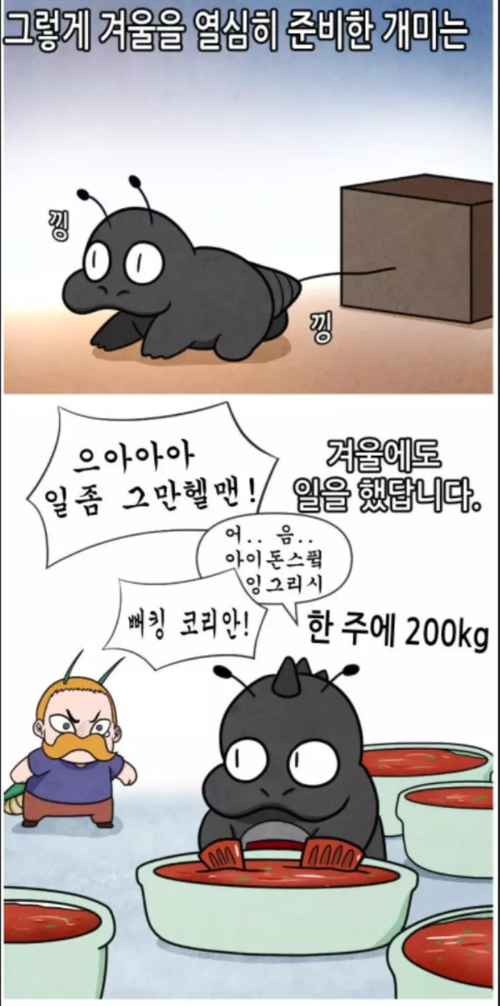 실화라서 무섭다는 호주 뻐킹 김치맨