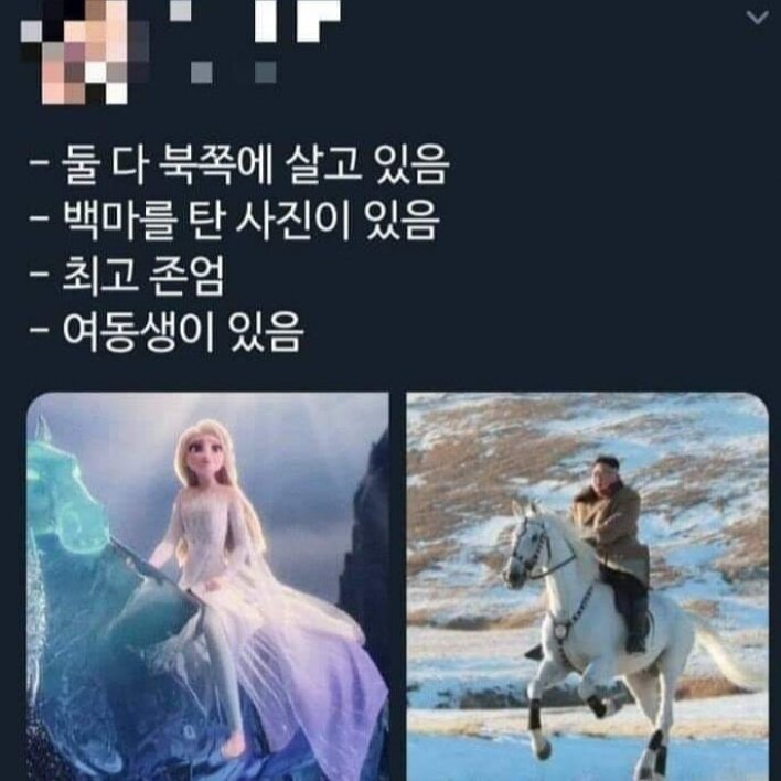 엘사 닮은꼴