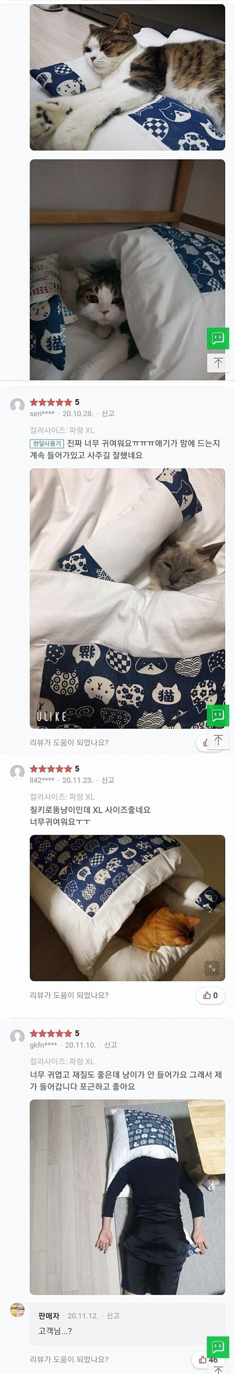 고양이 이불 구매후기.