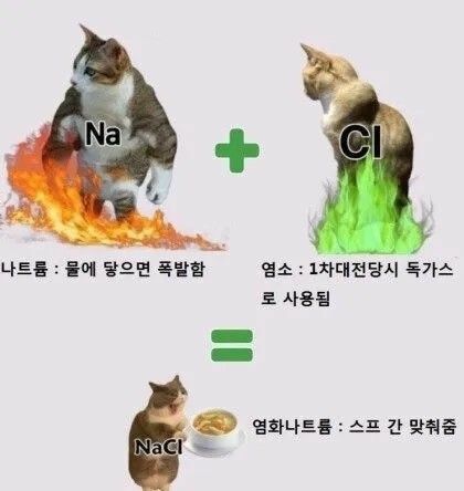 위험한 것  위험한 것  ?