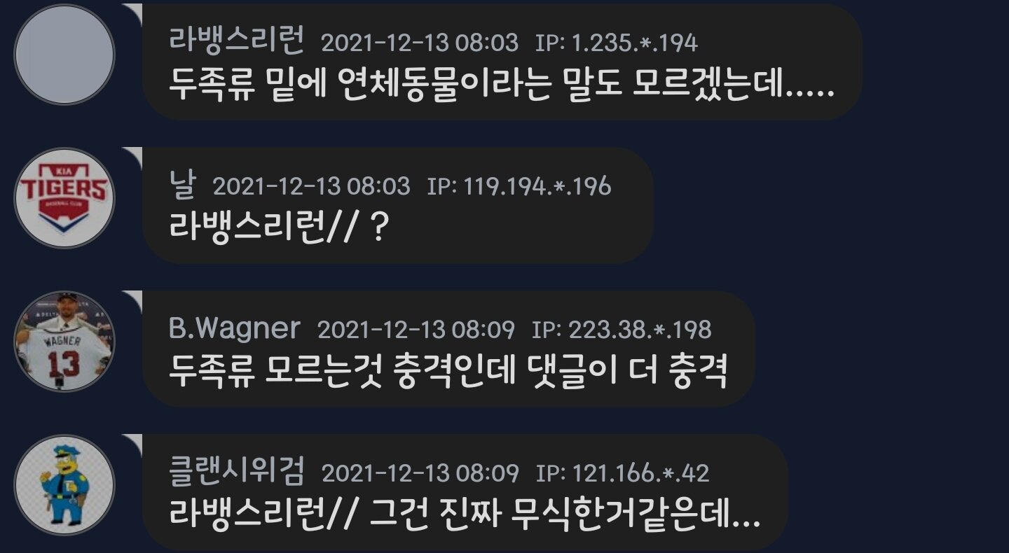 오픈 두족류 갤러리