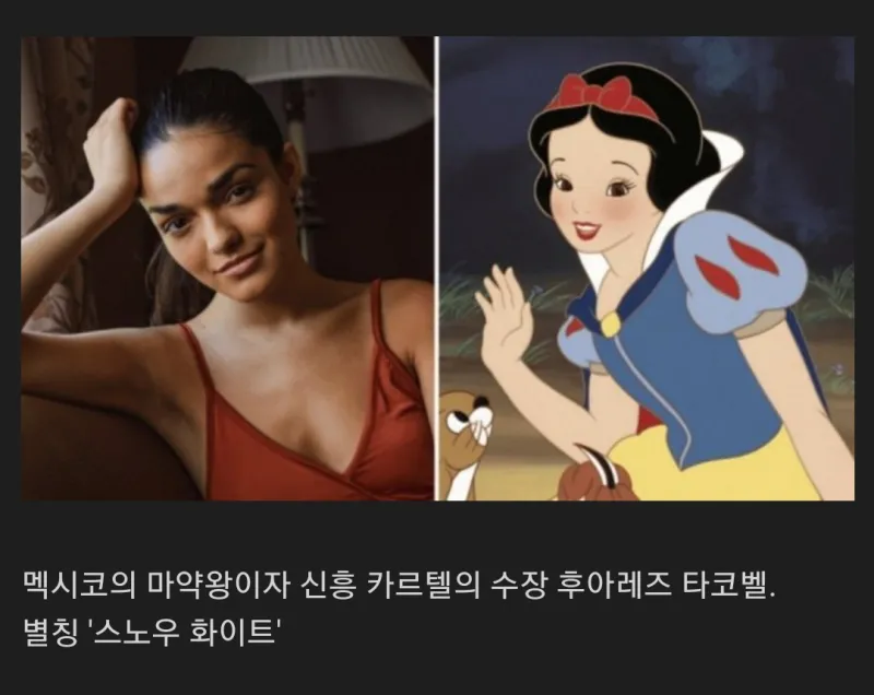 현재 배역으로 유출된 백설공주 실사화 스토리