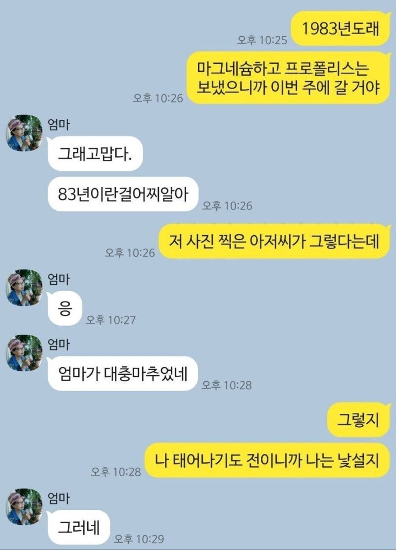 훈훈한 모녀간의 대화.jpg