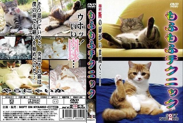 일본 고양이 영상 표지