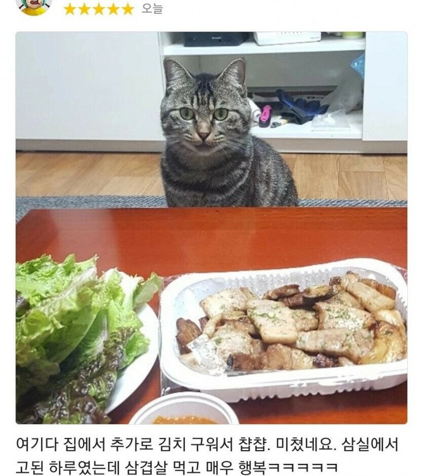 고양이와 함께하는 음식 리뷰