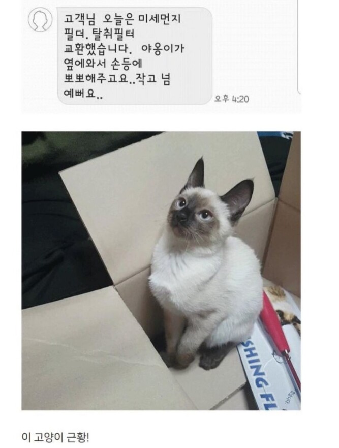 기습 뽀뽀 당한 AS기사