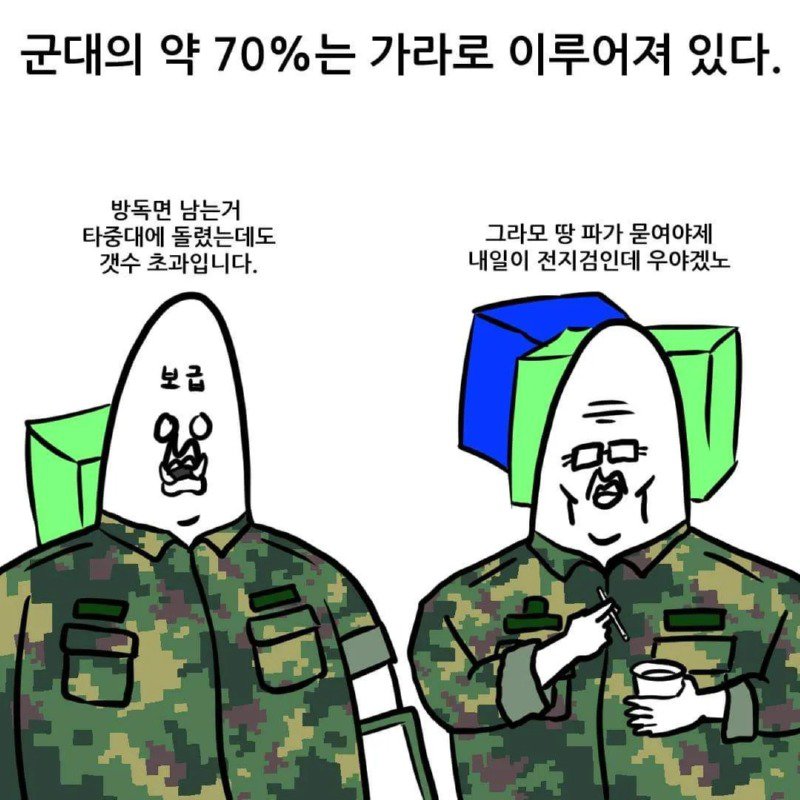 군대에서 알게 되는 사실들