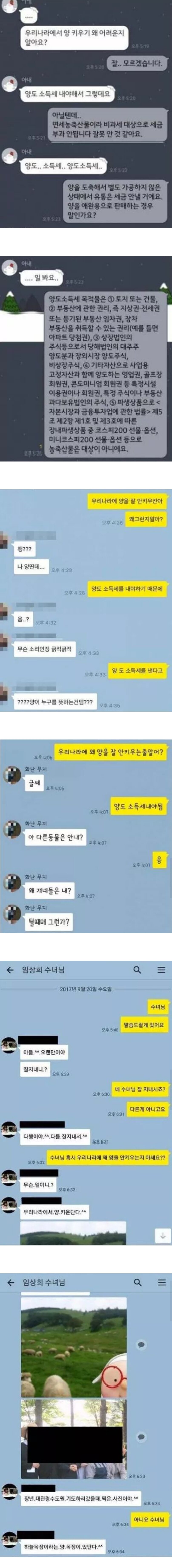 우리나라에서 양을 잘 키우지 않는 이유가 뭔지 알아?